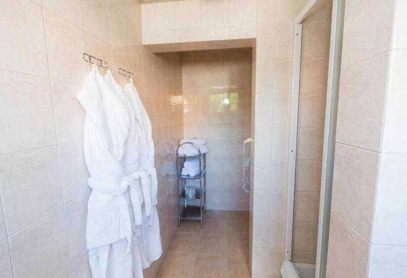 חדר סטודיו סטנדרד, Geovita Muszyna