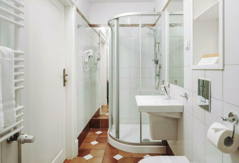 חדר סטנדרט יחיד, Pałac Romantyczny