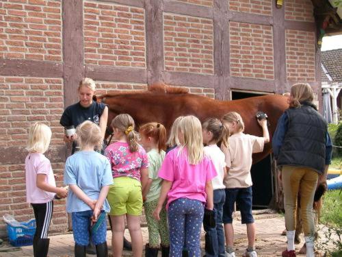 شقة غرفة واحدة, Reiterhof Könning