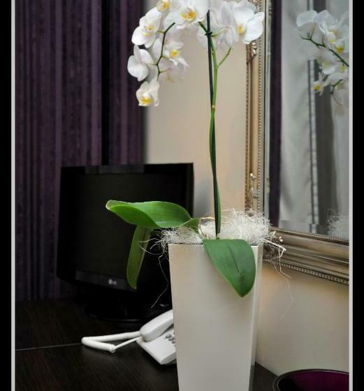 غرفة قياسية فردية, Willa Adriana