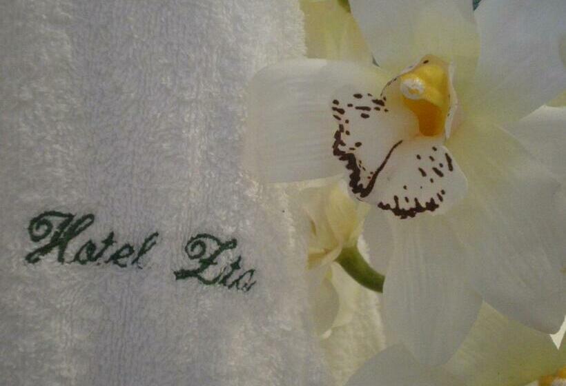 Номер Стандарт с Балконом, Zita