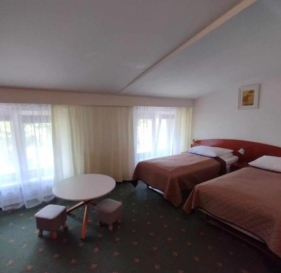 スーペリアールーム, Złoty Lin