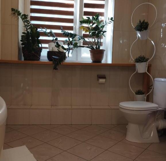 １ベッドルームアパートメント, Złoty Lin