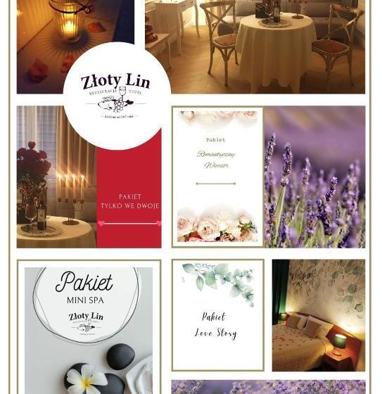 １ベッドルームアパートメント, Złoty Lin