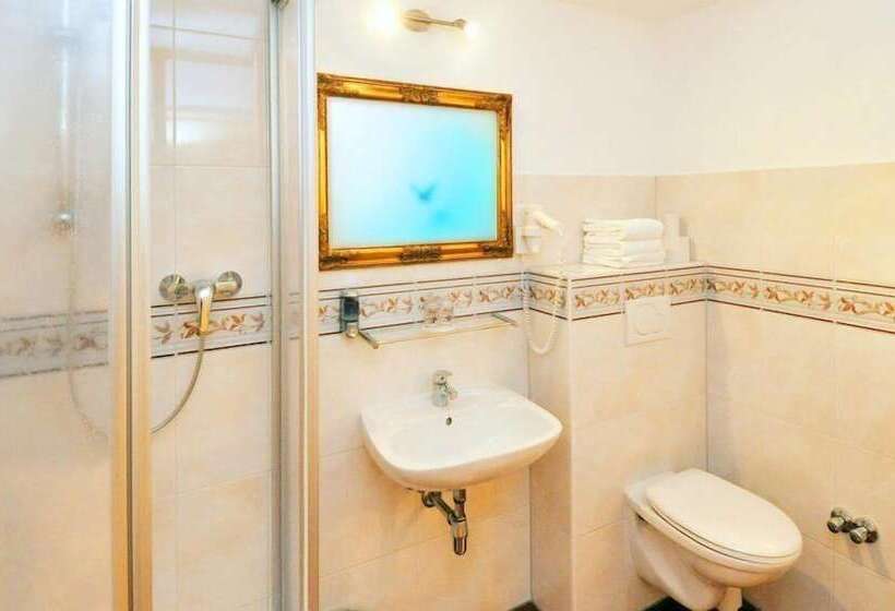 غرفة قياسية فردية, Schlossgasthof