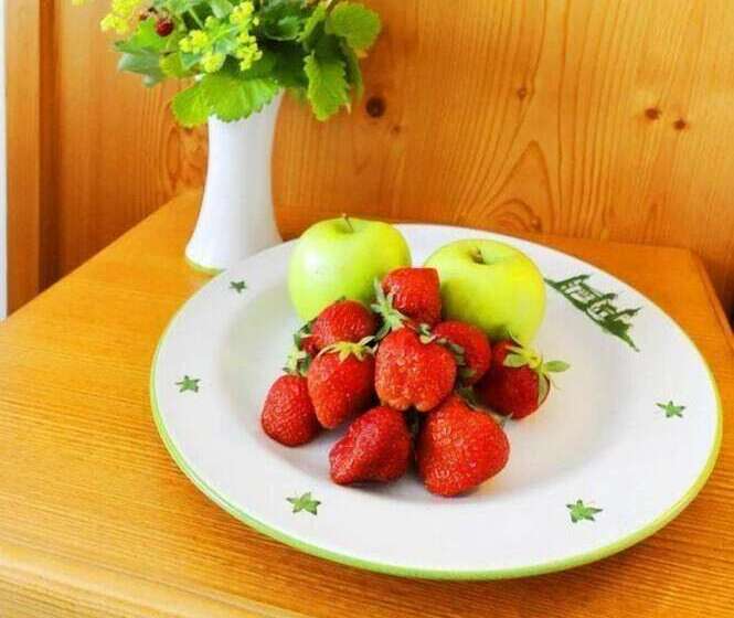 غرفة قياسية فردية, Schlossgasthof