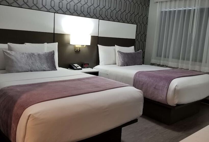 غرفه قياسيه سريرين مزدوجين, Sunset West Hotel, Surestay Collection By Best Western