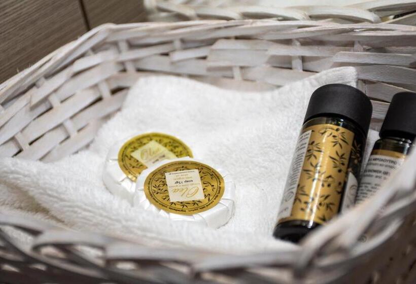 غرفة قياسية مطلة على الجبل, Argo Papadakis