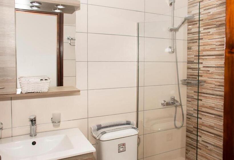 غرفة قياسية مطلة على الجبل, Argo Papadakis