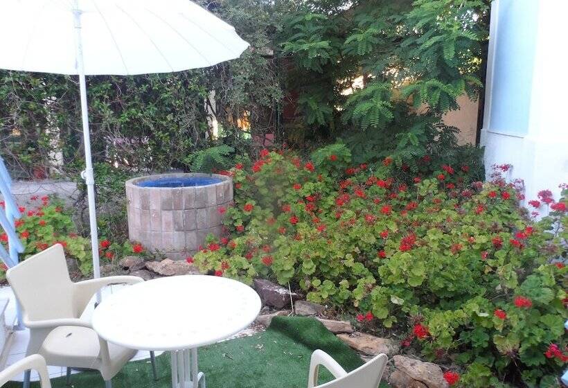 استودیوی استاندارد, Homely Studios