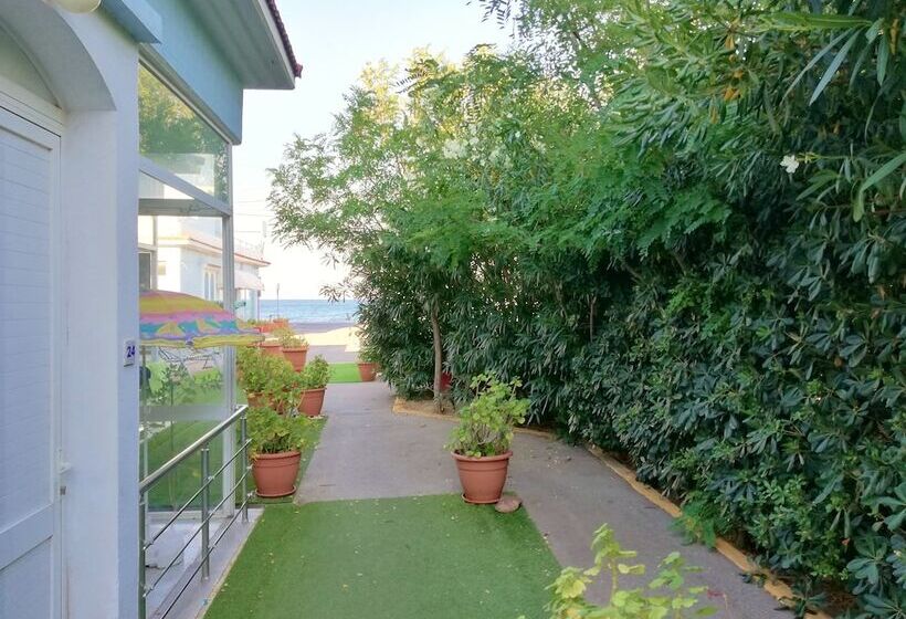 استودیو استاندارد با چشم‌انداز دریا, Homely Studios