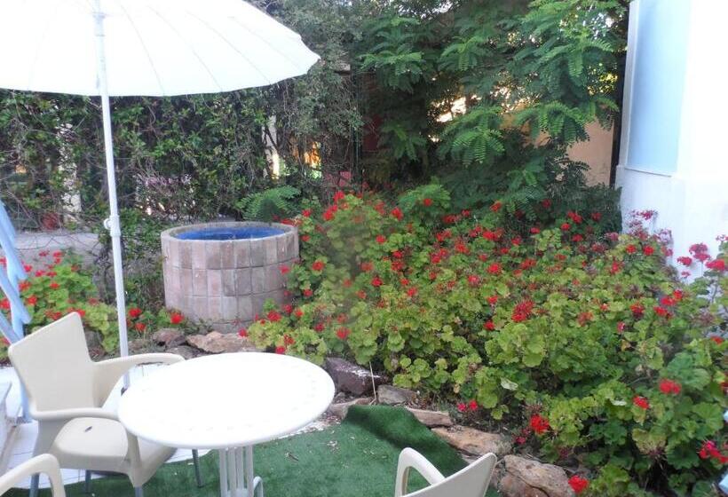 استودیوی استاندارد, Homely Studios