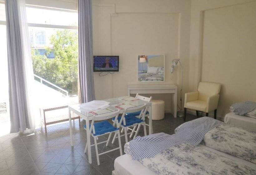 استودیوی استاندارد, Homely Studios