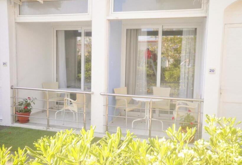 استودیو استاندارد با چشم‌انداز باغ, Homely Studios