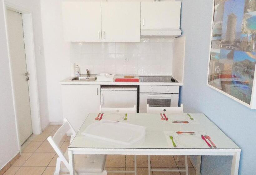 استودیو استاندارد با چشم‌انداز باغ, Homely Studios