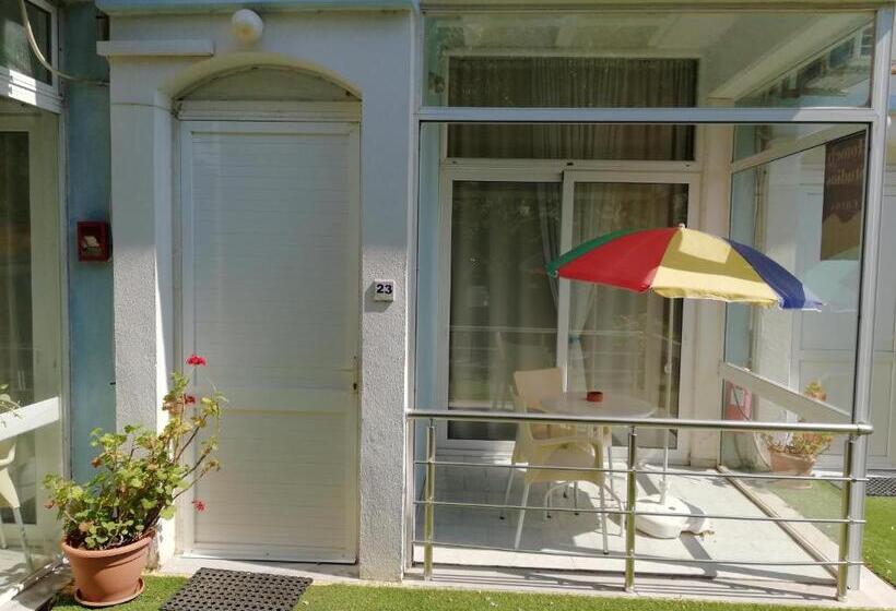 استودیوی استاندارد با تخت دوبل, Homely Studios