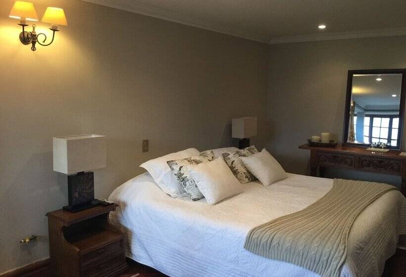 デラックススイート, Boutique Solaz Bella Vista De Colchagua