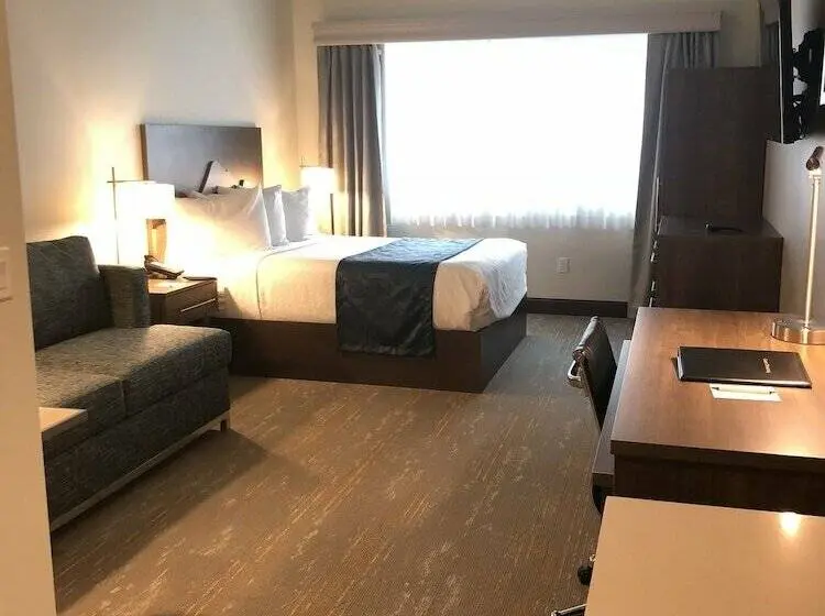 ダブルベッドスタンダードルーム, Kodiak Compass Suites