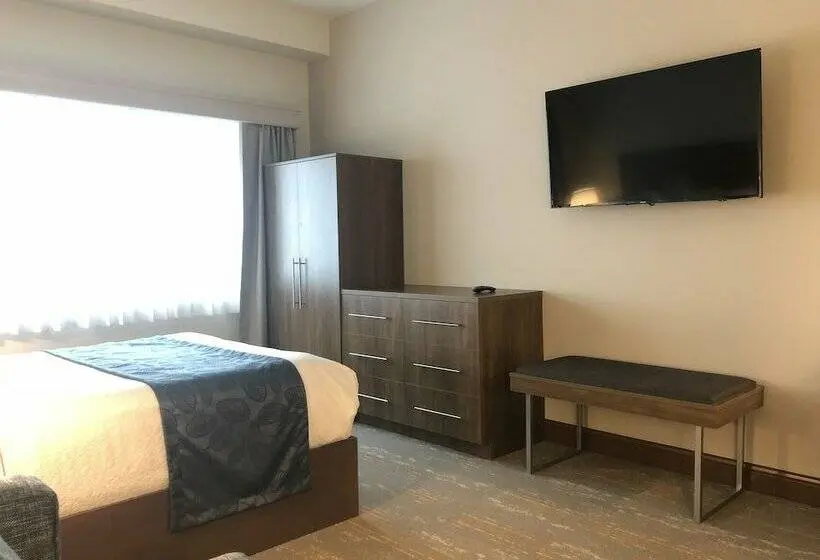 ダブルベッドスタンダードルーム, Kodiak Compass Suites