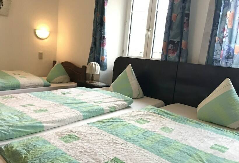 חדר סטנדרט, Vogtshof Von Wetteldorf