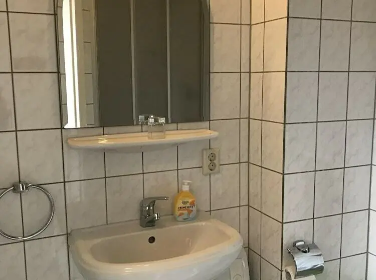 スタンダードシングルルーム, Vogtshof Von Wetteldorf