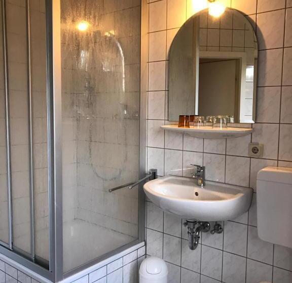 غرفة قياسية فردية, Vogtshof Von Wetteldorf