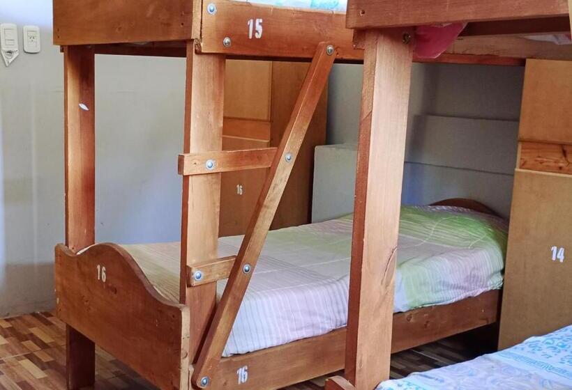 Кровать в Общей Комнате, Corinto Hostel