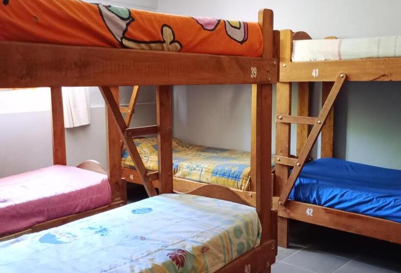 ルームシェアのワンベッド, Corinto Hostel