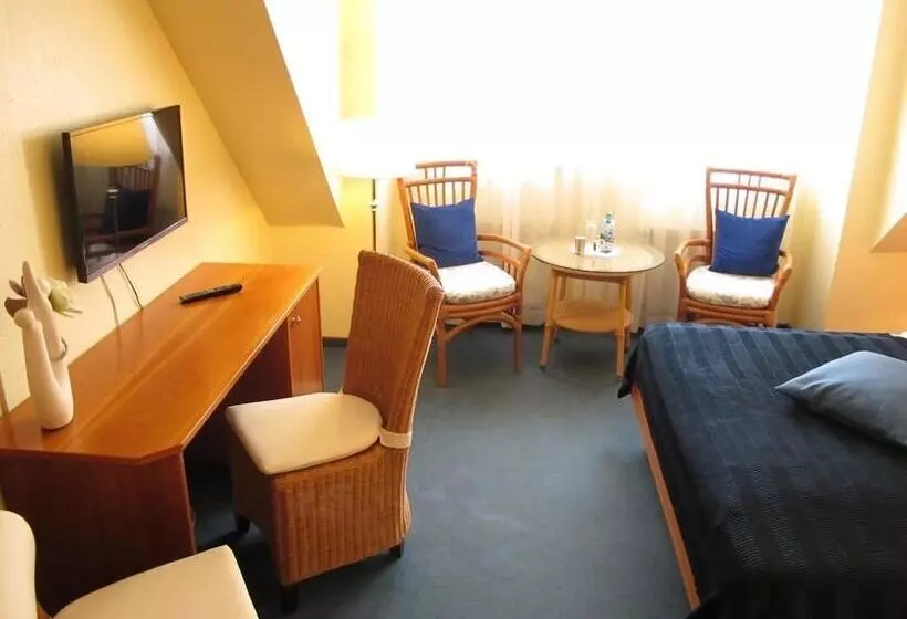 اتاق استاندارد یک نفره, Burghotel Münzenberg