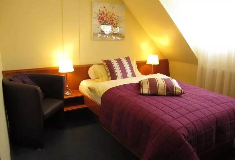 اتاق استاندارد یک نفره, Burghotel Münzenberg