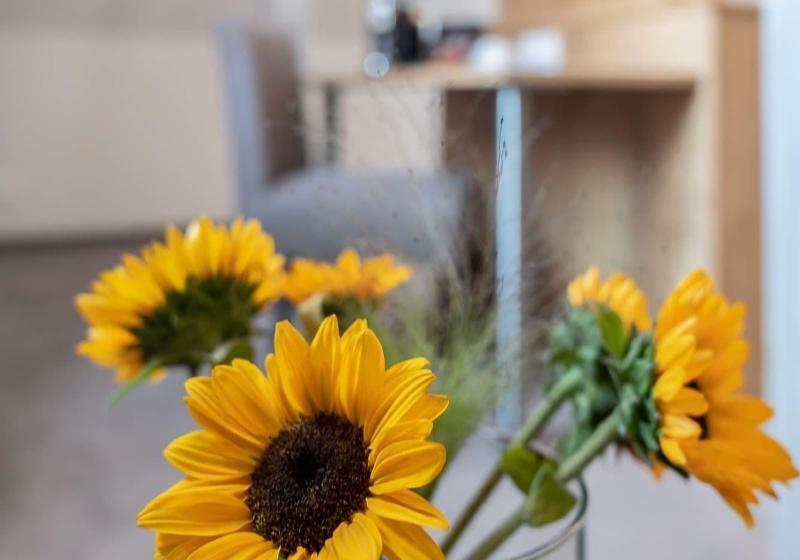 Номер Стандарт Индивидуальный, & Restaurant Ritter Jorg