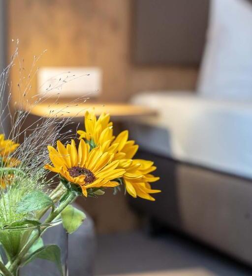 Номер Стандарт с Балконом, & Restaurant Ritter Jorg