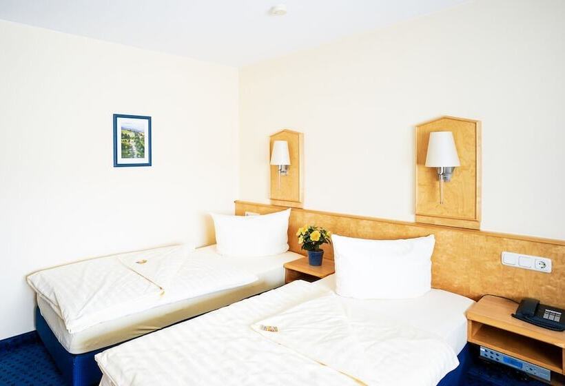 标准单人间, Sauer Garni