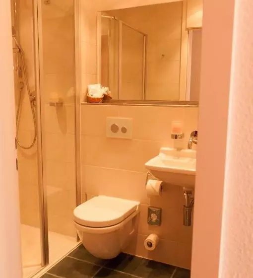 Standard Single Room, Seethaler