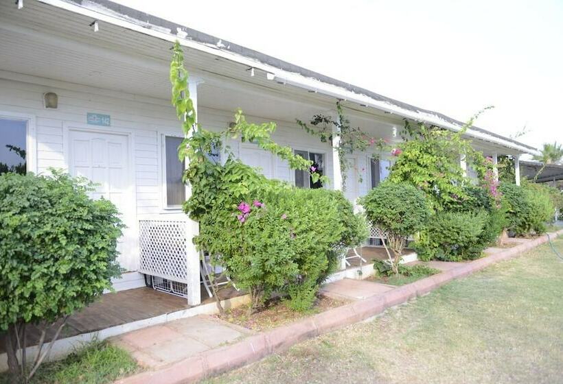 بنجلو ديلوكس, Grand Ada Family