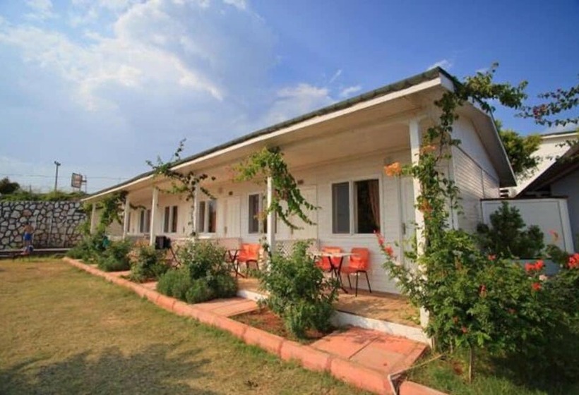 بنجلو ديلوكس, Grand Ada Family