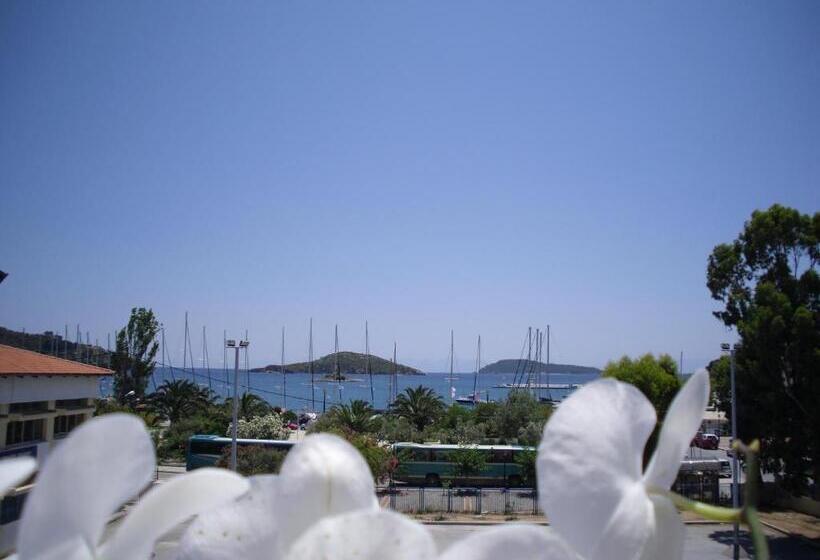 オーシャンビュースタンダードルーム, Ifigenia