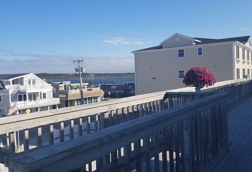 ダブルベッドのスタンダードシングルルーム, Sandcastle Beachfront Inn