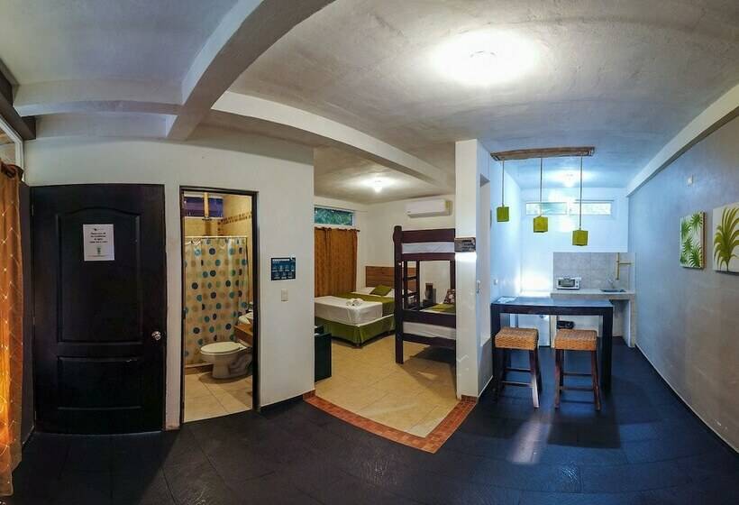 إستوديو كومفورت, Eco Del Mar