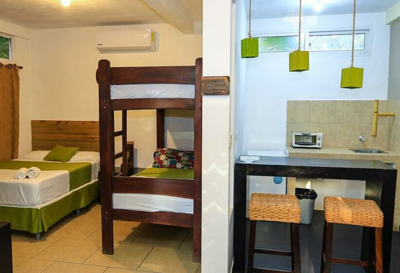 إستوديو كومفورت, Eco Del Mar