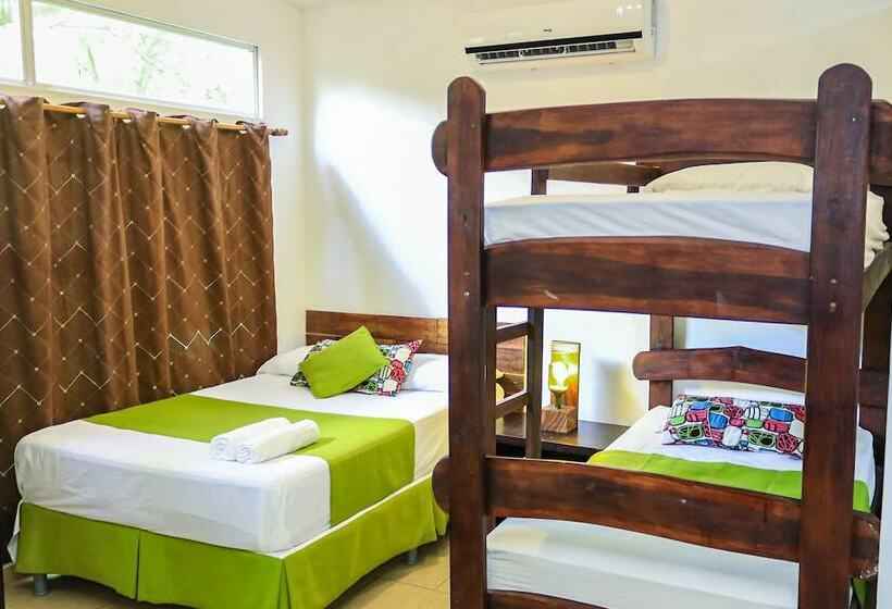 إستوديو كومفورت, Eco Del Mar