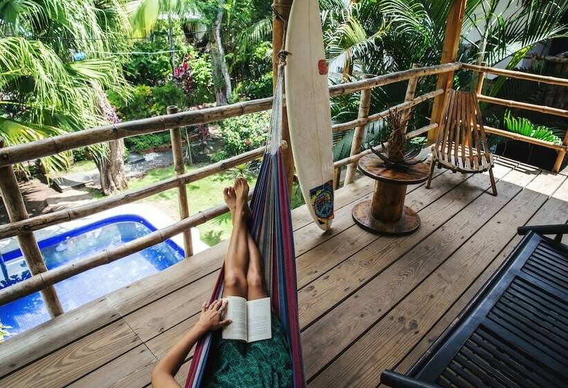 إستوديو كومفورت, Eco Del Mar