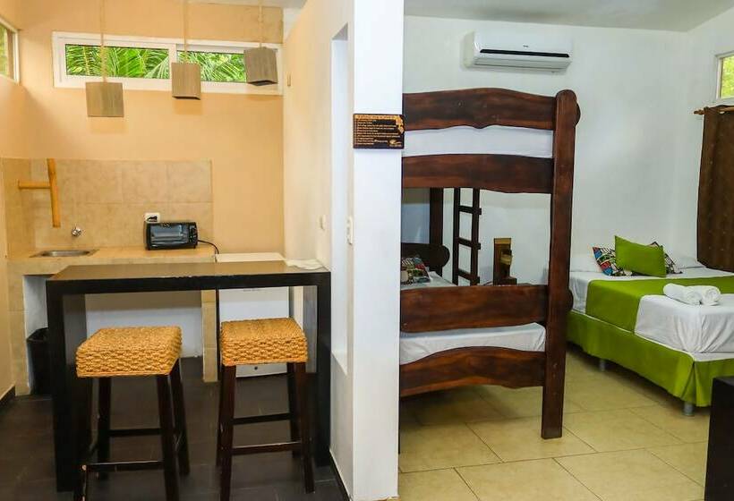 إستوديو كومفورت, Eco Del Mar