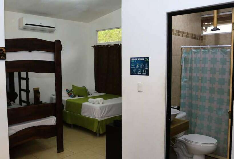 إستوديو كومفورت, Eco Del Mar