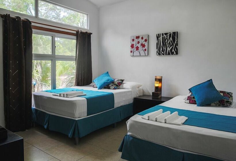 إستوديو كومفورت, Eco Del Mar