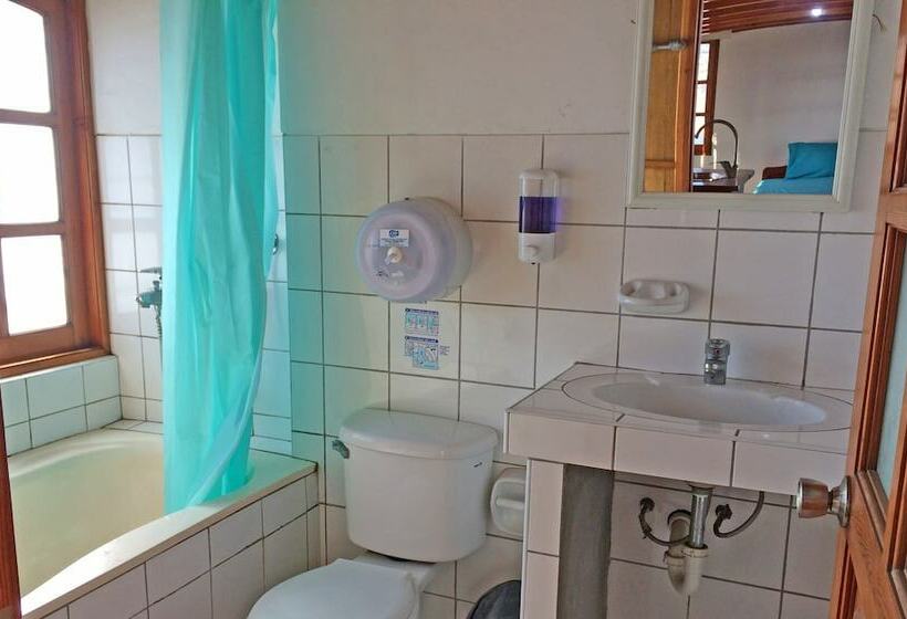 景色の見えるデラックスルーム, Madwoods Hostel