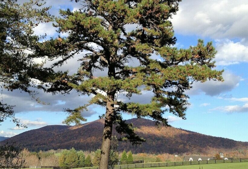 1ベッドルームハウス, Montfair Resort Farm