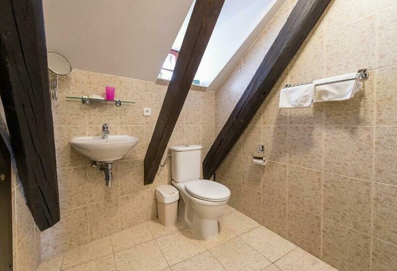 标准间, Pension U Zámku