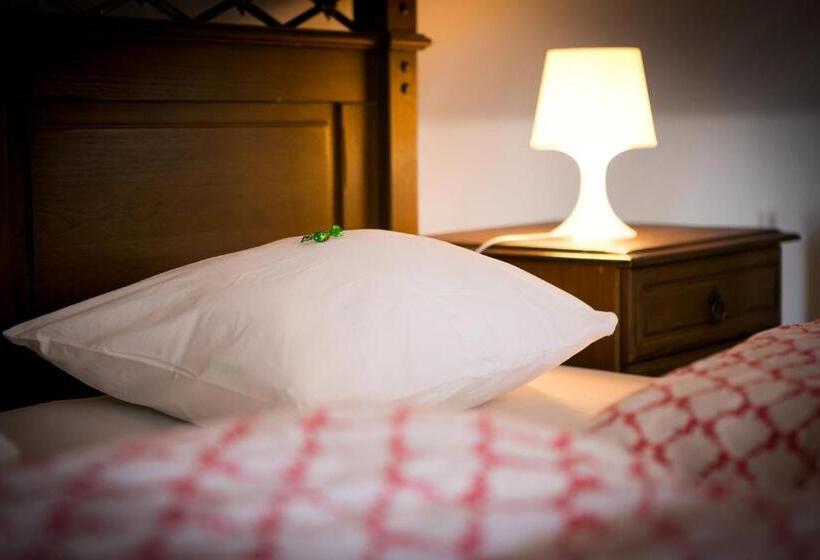 高级大房间, Pension U Zámku