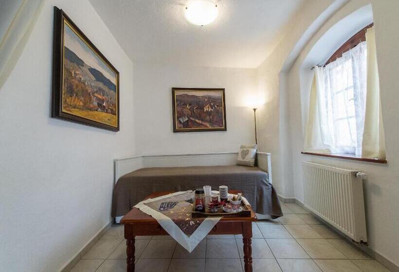 豪华房间, Pension U Zámku